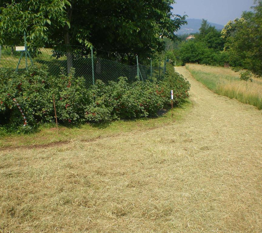 Tenuta Fortelongo Fara Vicentino Extérieur photo