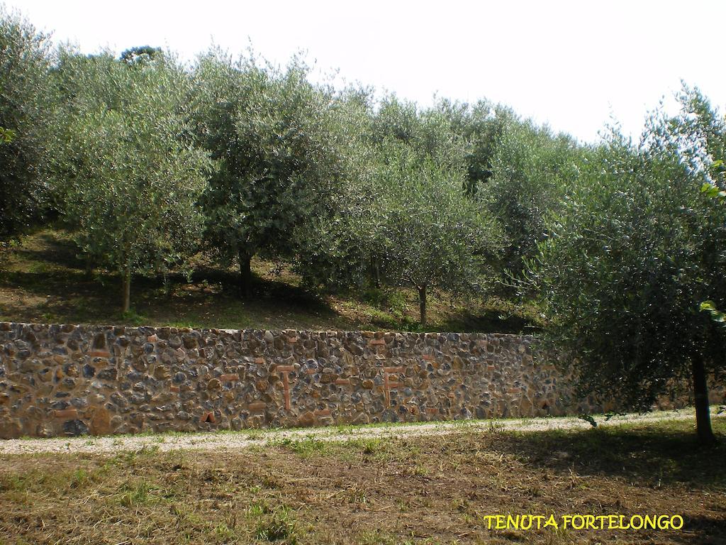 Tenuta Fortelongo Fara Vicentino Extérieur photo
