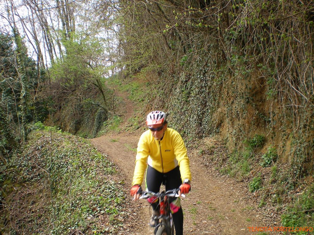 Tenuta Fortelongo Fara Vicentino Extérieur photo