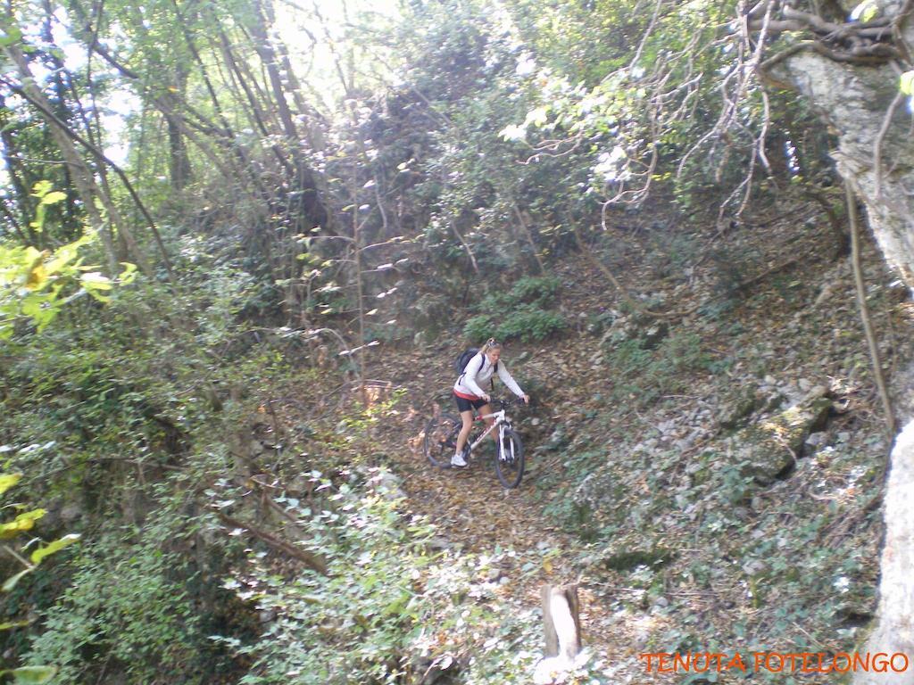 Tenuta Fortelongo Fara Vicentino Extérieur photo