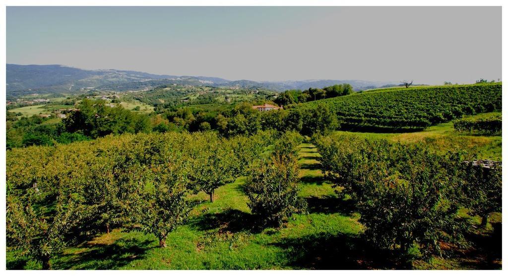 Tenuta Fortelongo Fara Vicentino Chambre photo